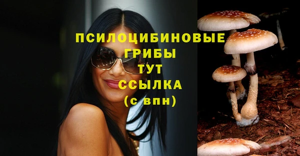 a pvp Абинск
