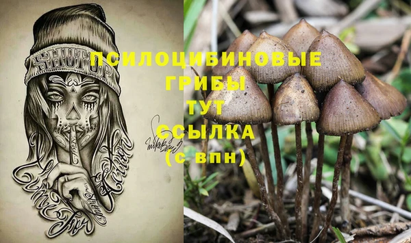 a pvp Абинск
